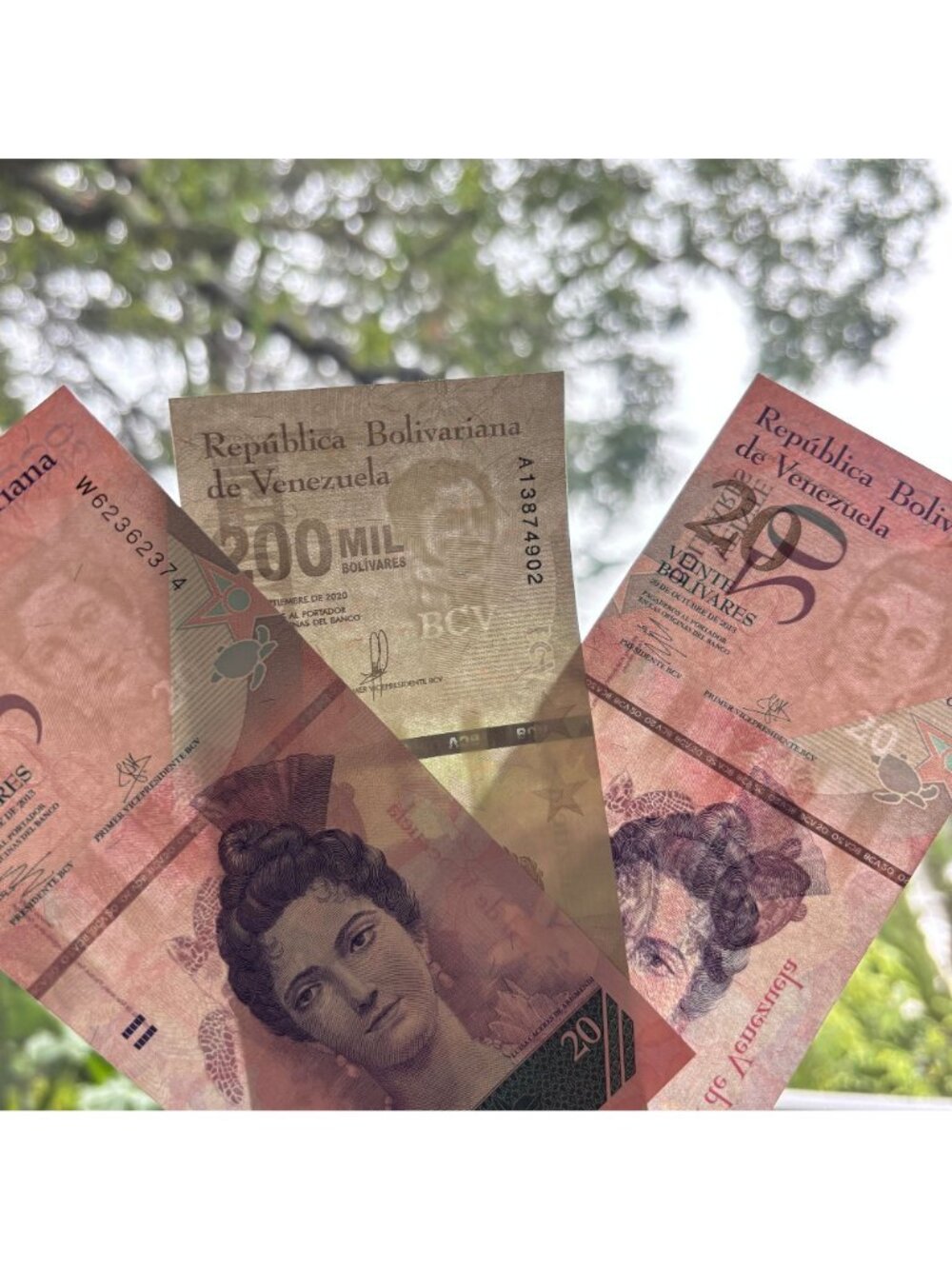 Venezuela Banknote Set 200,000 Bolivares Liberator 20 Heroine Hyperinflation Lot - Picture 6 of 9